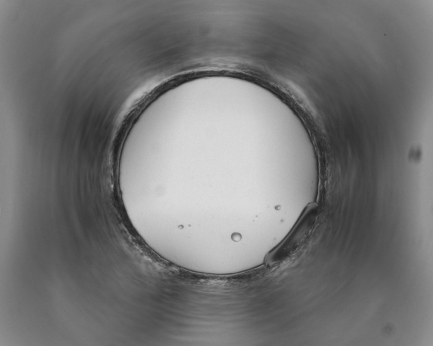 X0000089931172200707271751