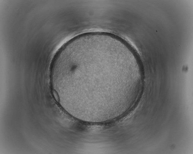 X0000089931173200707271751