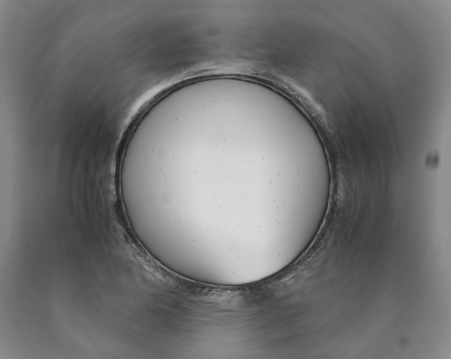 X0000089931174200707271751