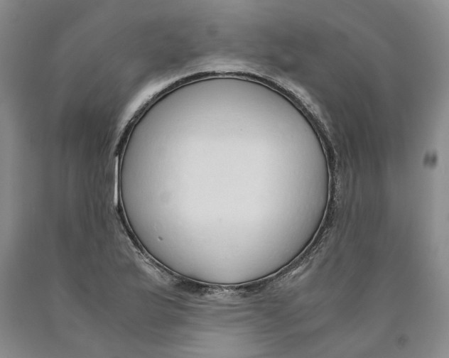 X0000089931175200707271751