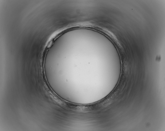 X0000089931176200707271751