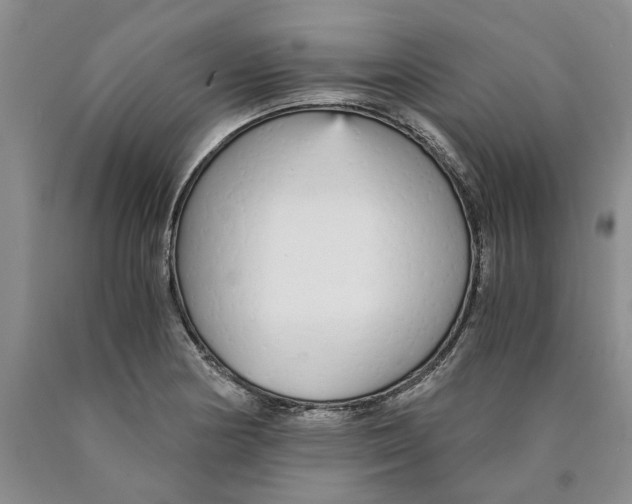 X0000089931178200707271751