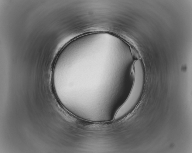 X0000089931179200707271751