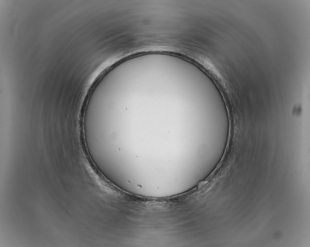 X0000089931181200707271751