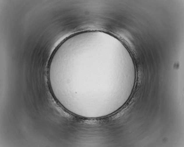 X0000089931182200707271751