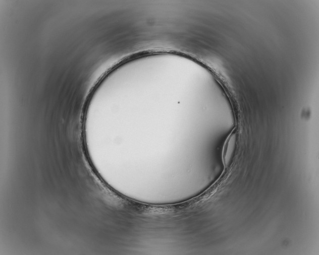 X0000089931183200707271751