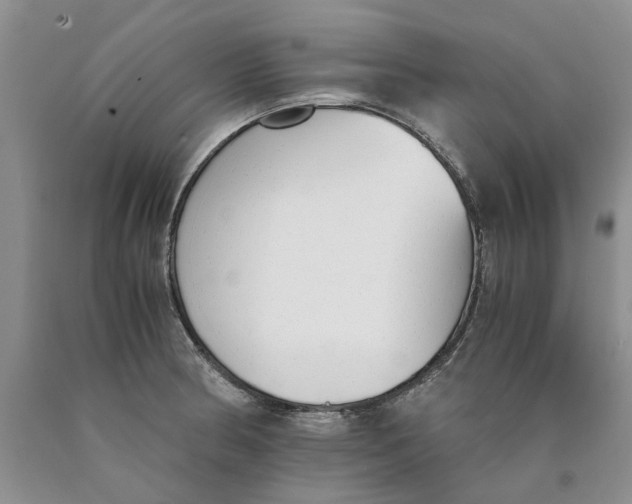 X0000089931186200707271751