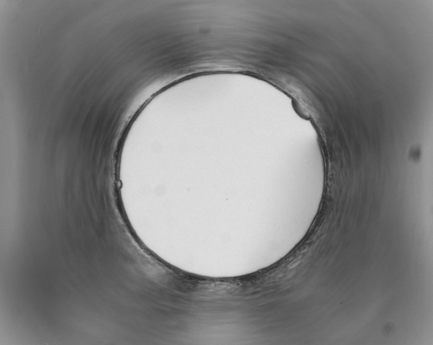 X0000089931187200707271751