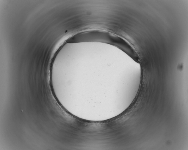 X0000089931188200707271751