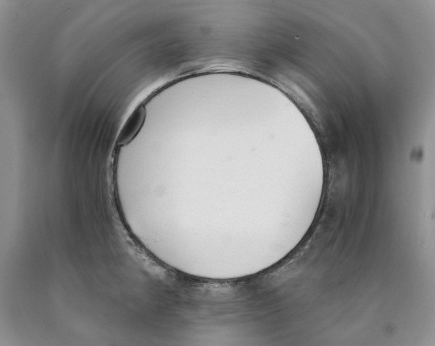 X0000089931190200707271751