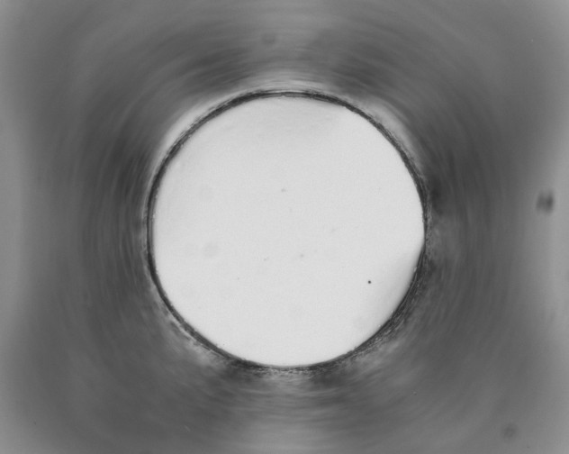 X0000089931191200707271751