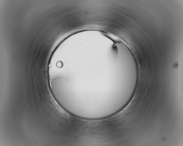 X0000089931192200707271751