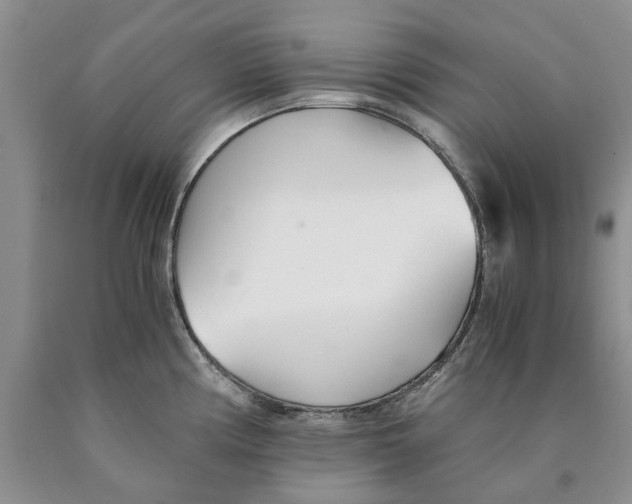 X0000089931194200707271751