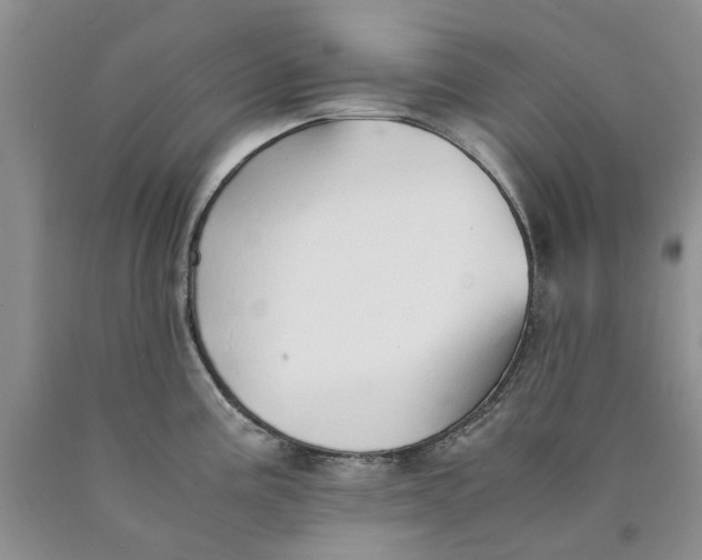 X0000089931195200707271751