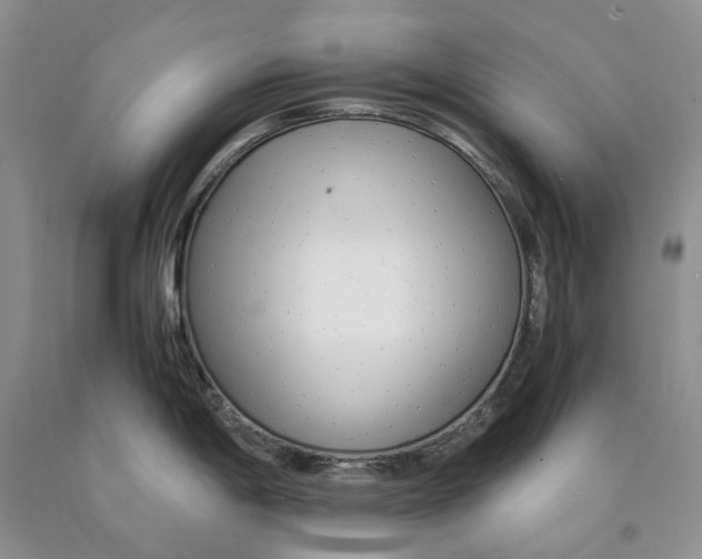 X0000089931198200707271751