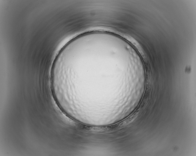 X0000089931199200707271751