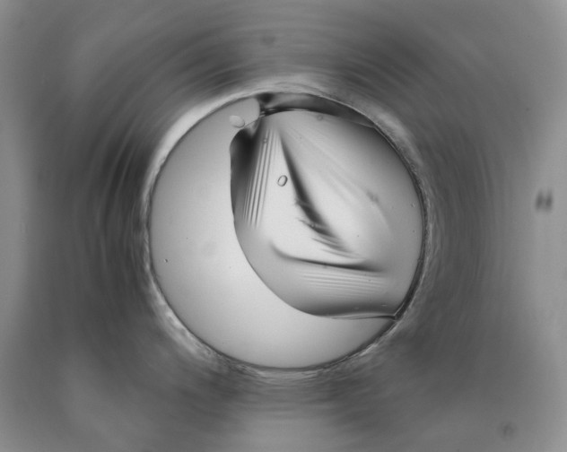 X0000089931200200707271751