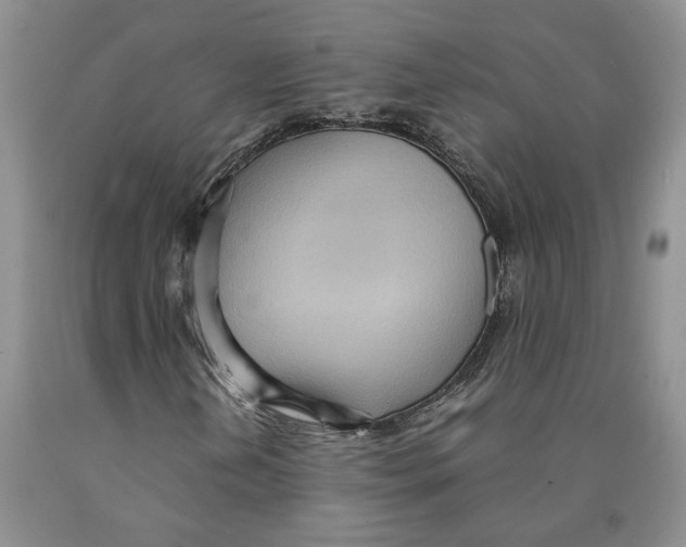 X0000089931202200707271750