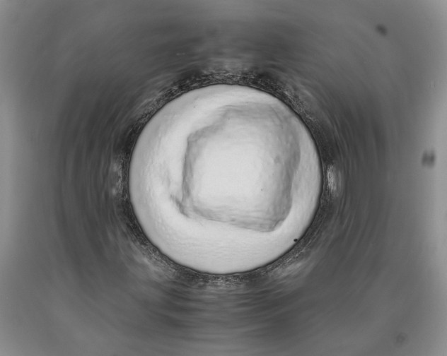 X0000089931203200707271750