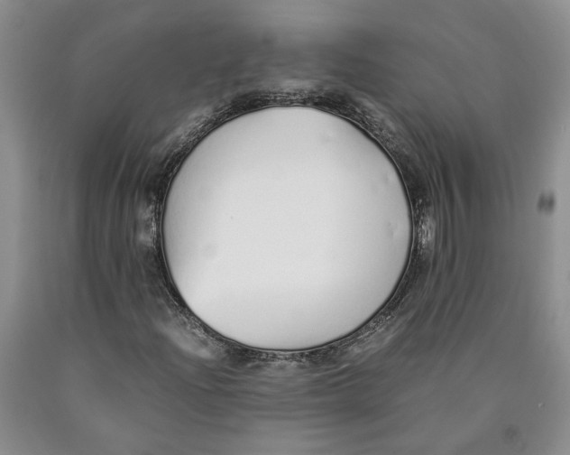 X0000089931204200707271750