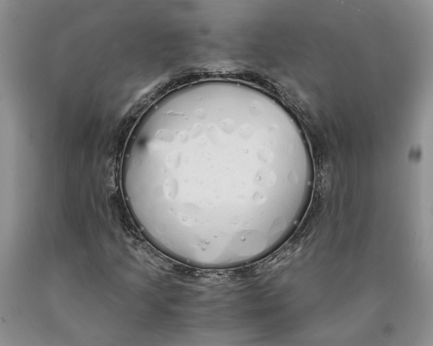 X0000089931205200707271750