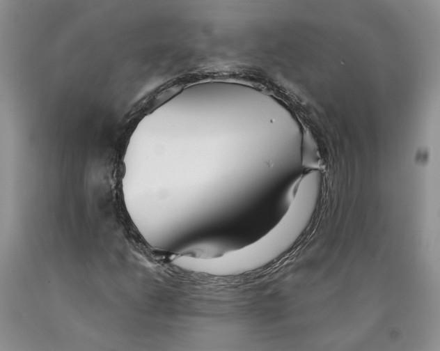 X0000089931206200707271750