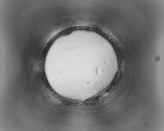 X0000089931208200707271750