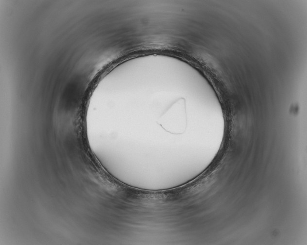 X0000089931210200707271750