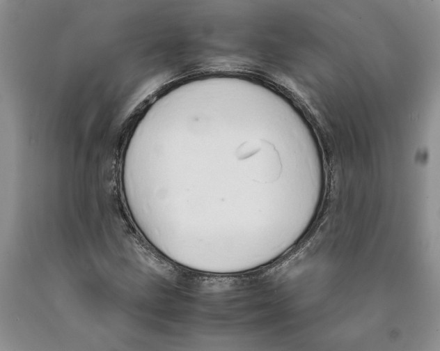 X0000089931211200707271750