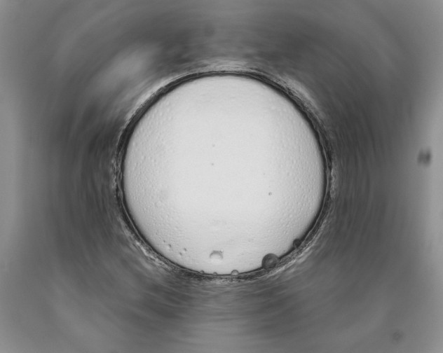 X0000089931212200707271750