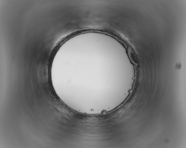 X0000089931214200707271750