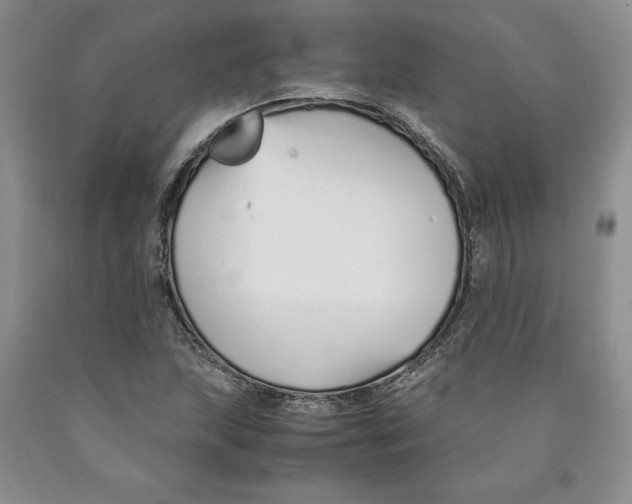 X0000089931215200707271750