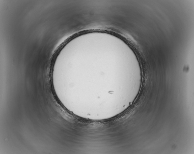 X0000089931216200707271750