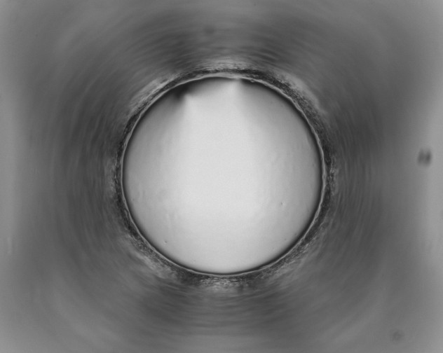 X0000089931217200707271750