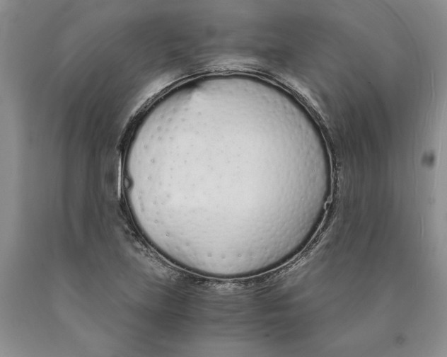 X0000089931219200707271750