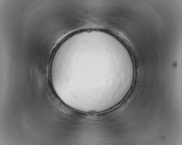 X0000089931220200707271750