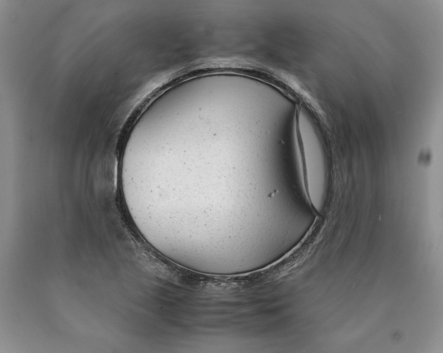 X0000089931221200707271750