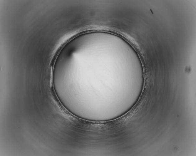 X0000089931223200707271751