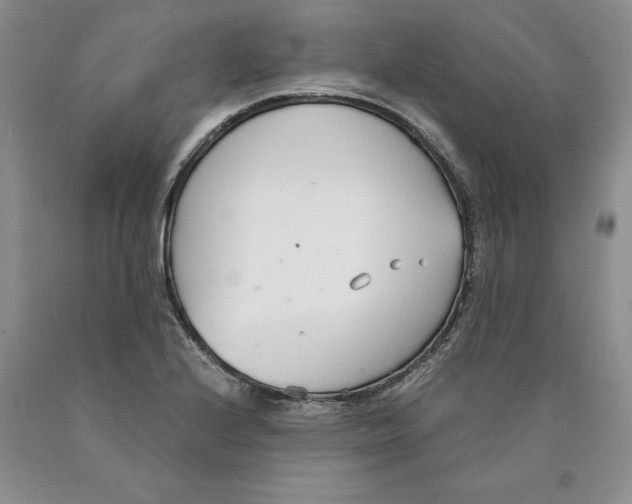 X0000089931224200707271751