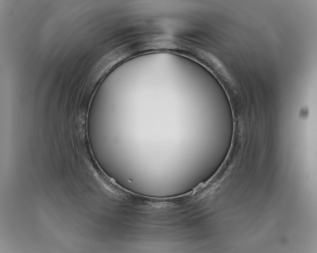 X0000089931225200707271751