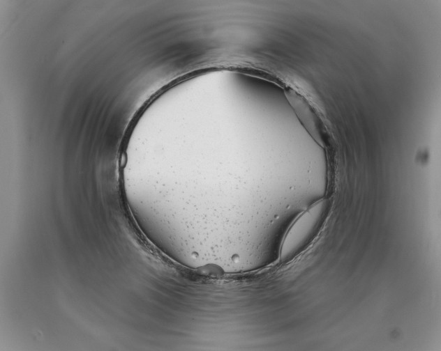 X0000089931226200707271751