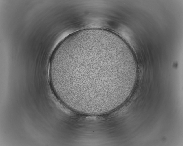 X0000089931227200707271751