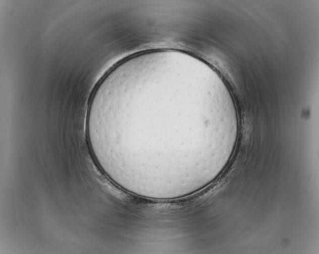 X0000089931228200707271751