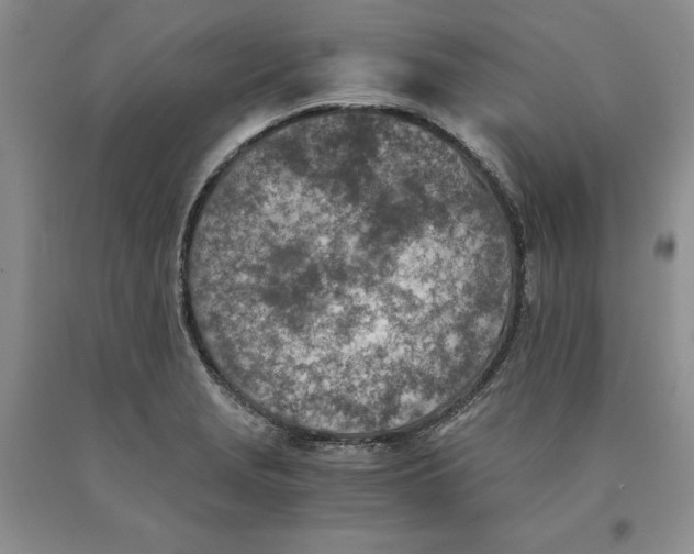 X0000089931229200707271751