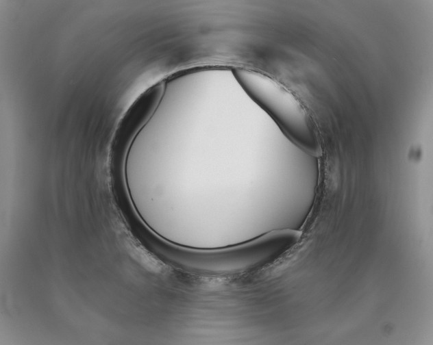 X0000089931230200707271751