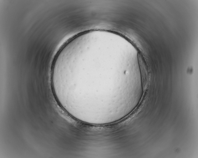 X0000089931232200707271751