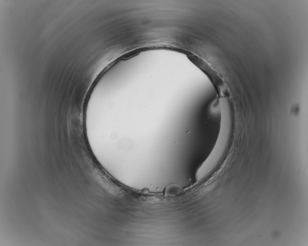 X0000089931234200707271751