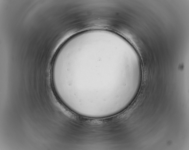 X0000089931235200707271751