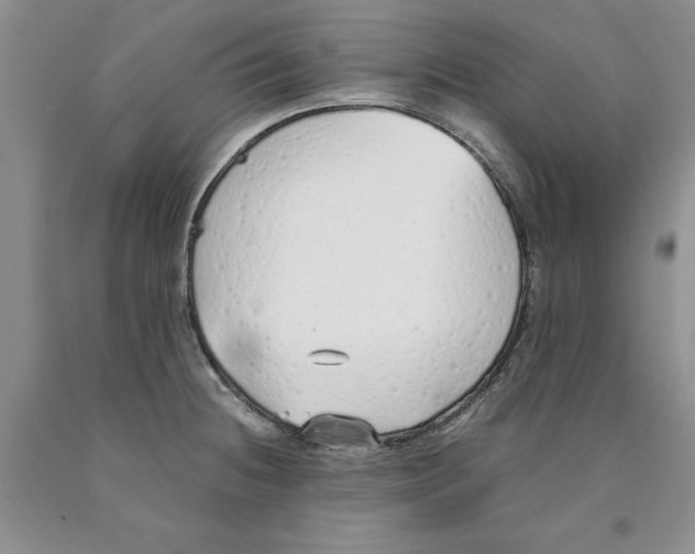 X0000089931236200707271751