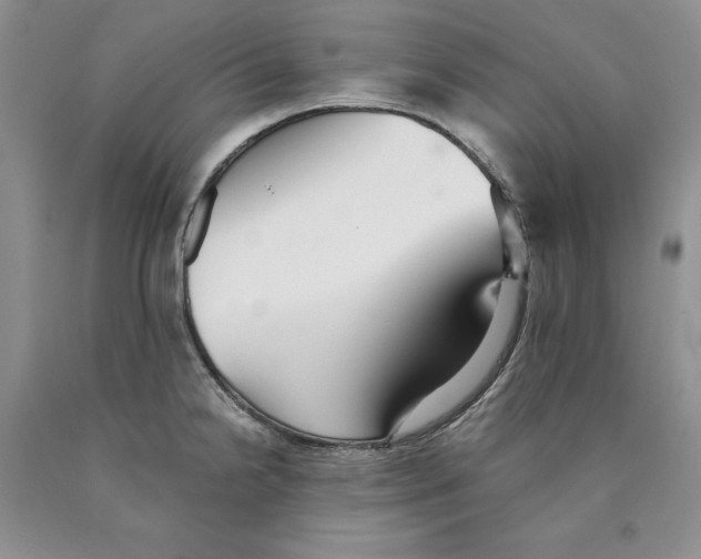 X0000089931238200707271751